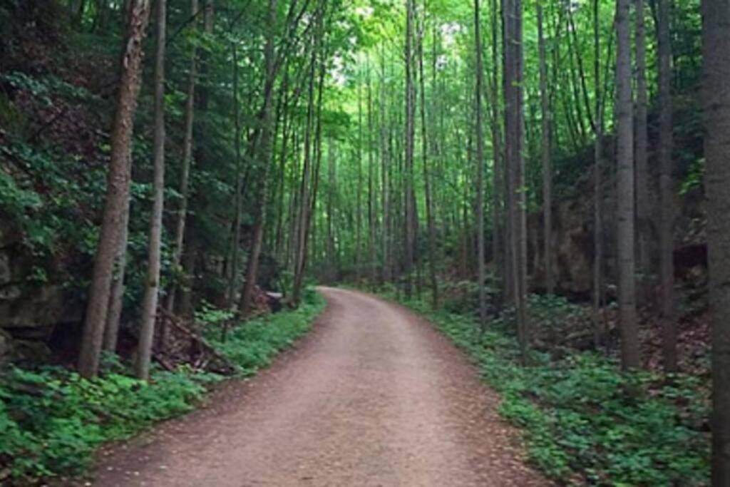 Stay In Ohiopyle Near The Gap Trail - Ohiopyle, Pa Exterior photo