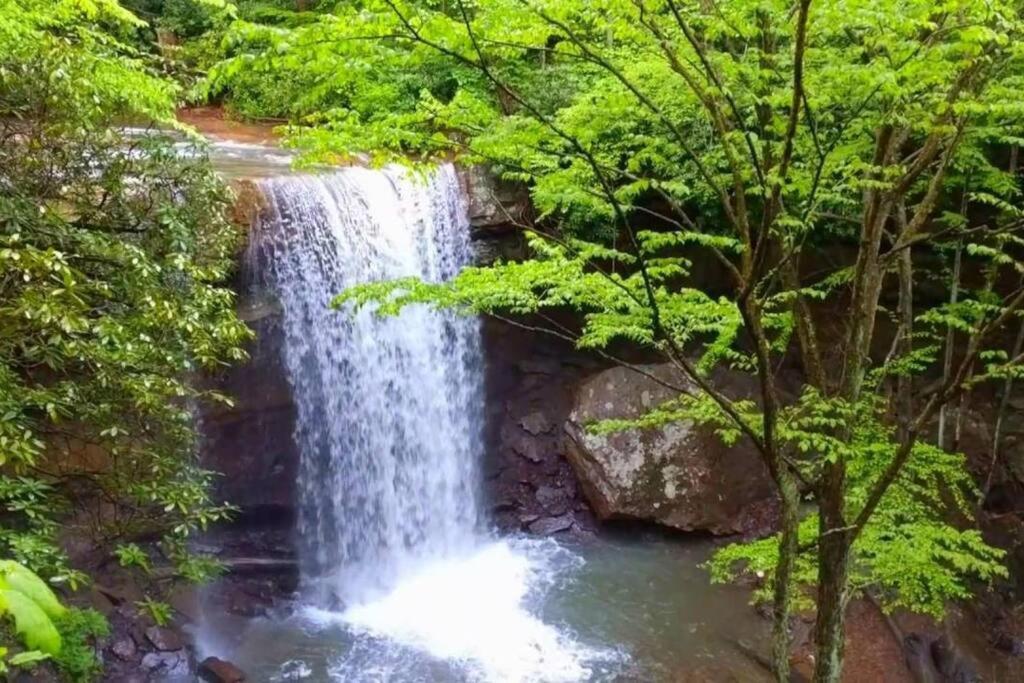 Stay In Ohiopyle Near The Gap Trail - Ohiopyle, Pa Exterior photo
